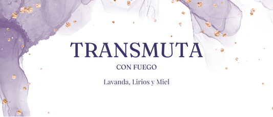 TRANSMUTA