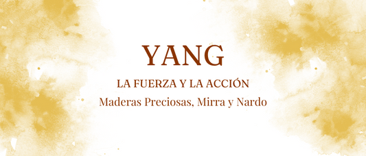 YANG - La fuerza y la acción