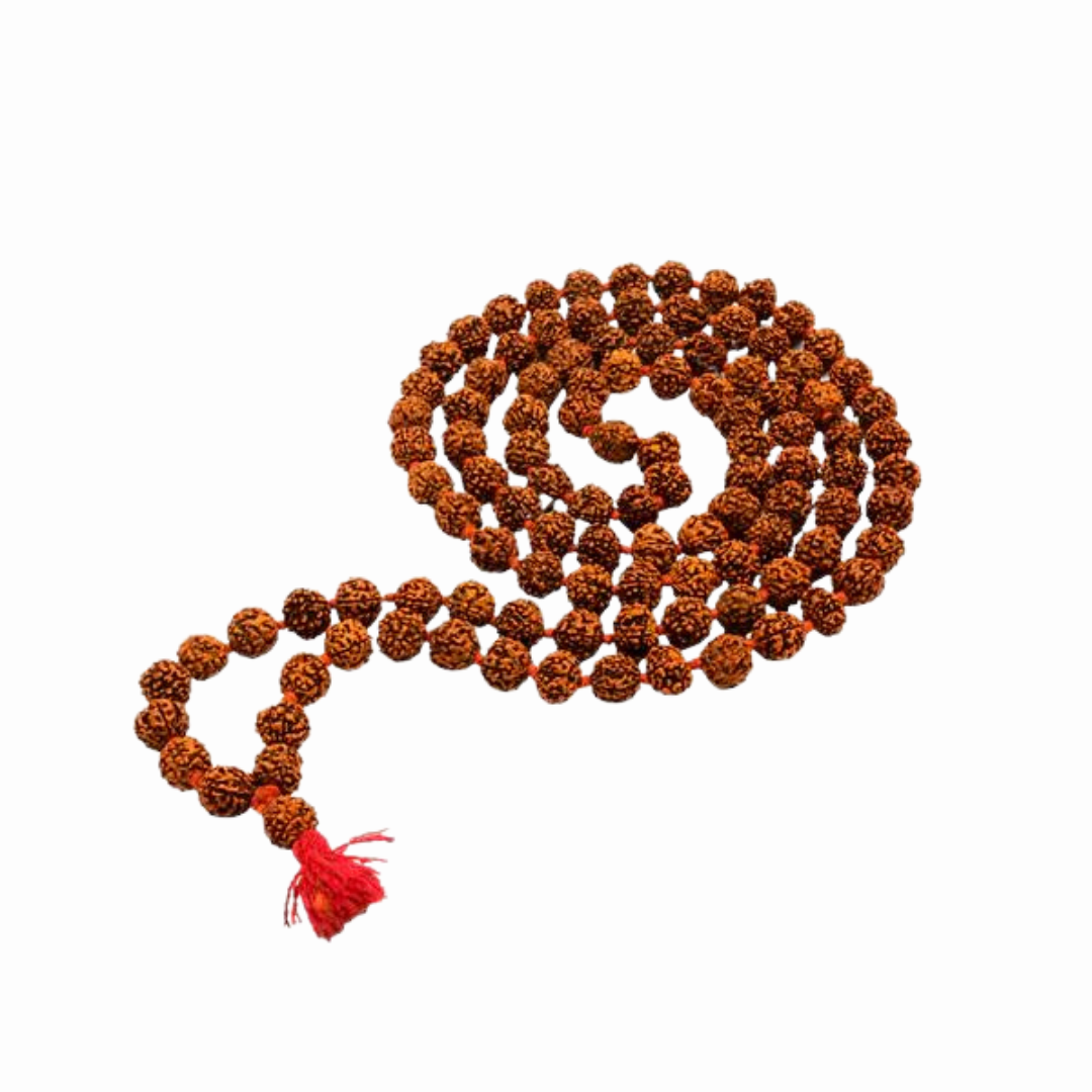 Japa Mala | Rudraksha