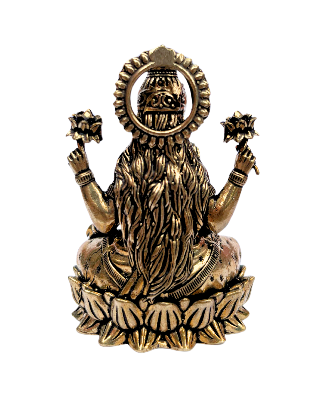 Prana Holística | Lakshmi Bronce