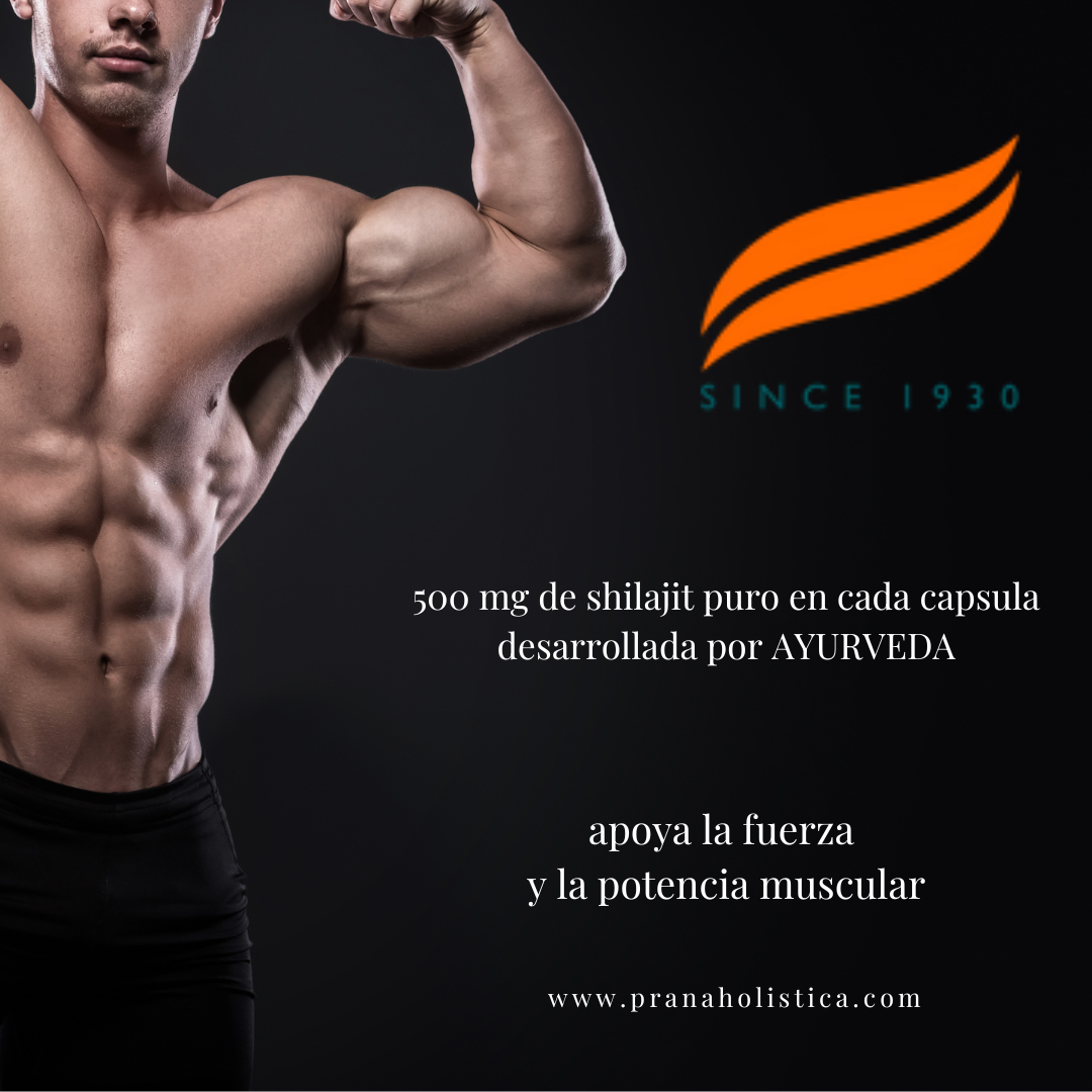 Shilajit Capsulas