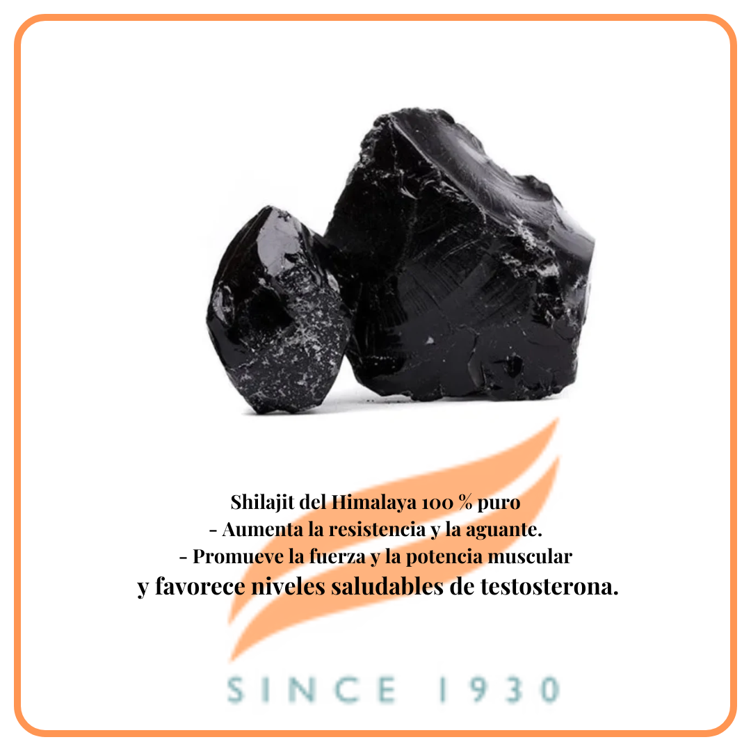 Shilajit Capsulas