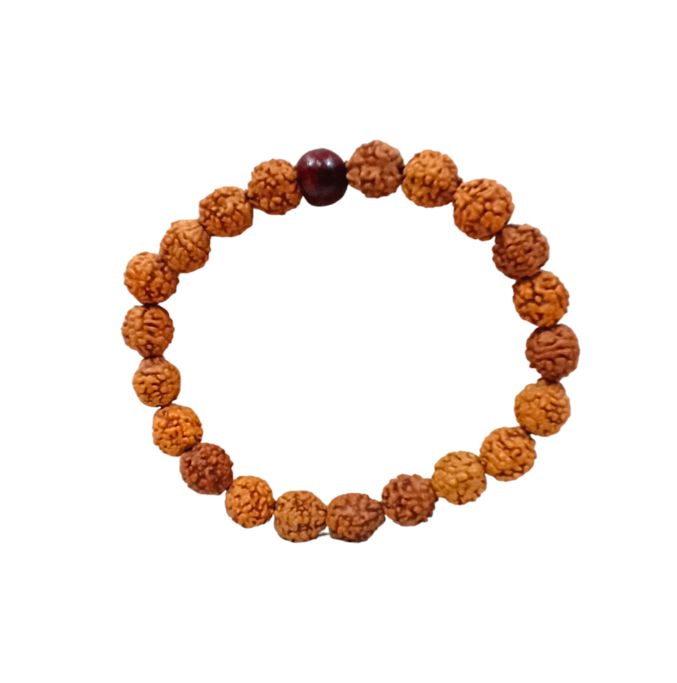 Pulsera Rudraksha