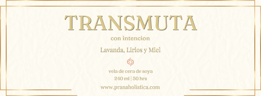 TRANSMUTA con intención