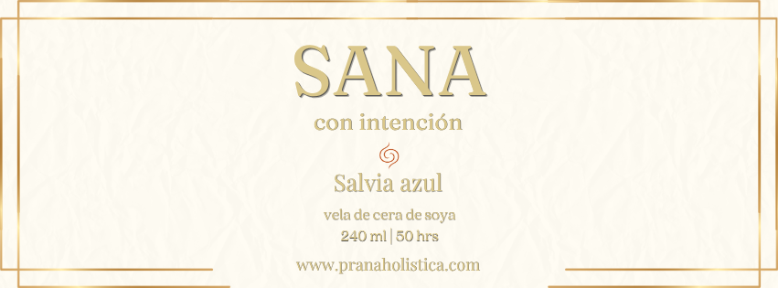 SANA con intensión