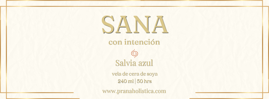 SANA con intensión