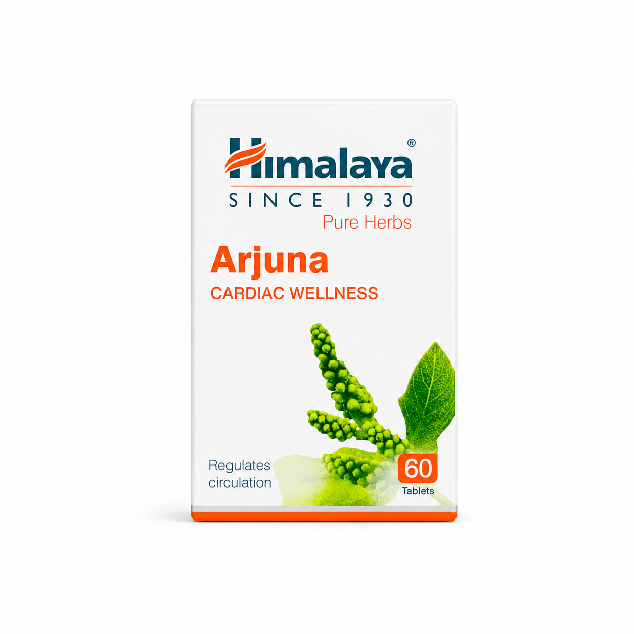 Arjuna Himalaya