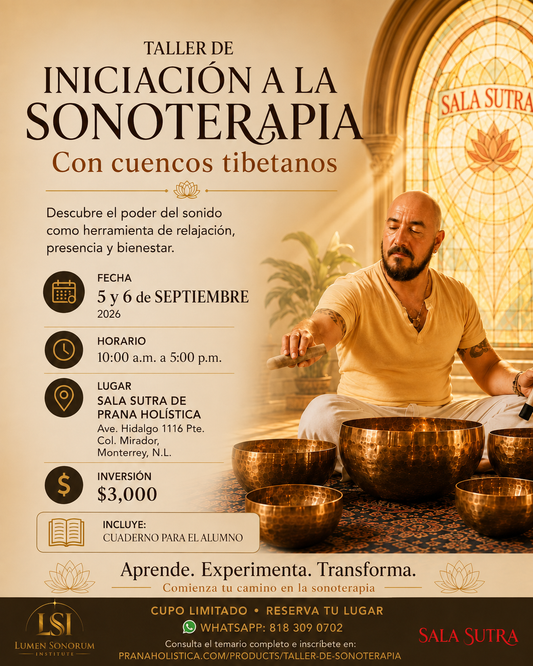 taller de iniciacion a la sonoterapia