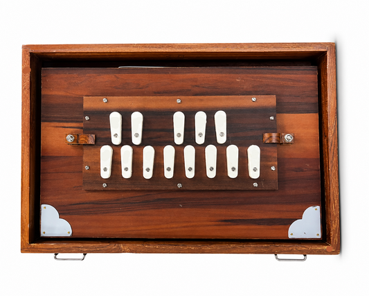 Shruti Box