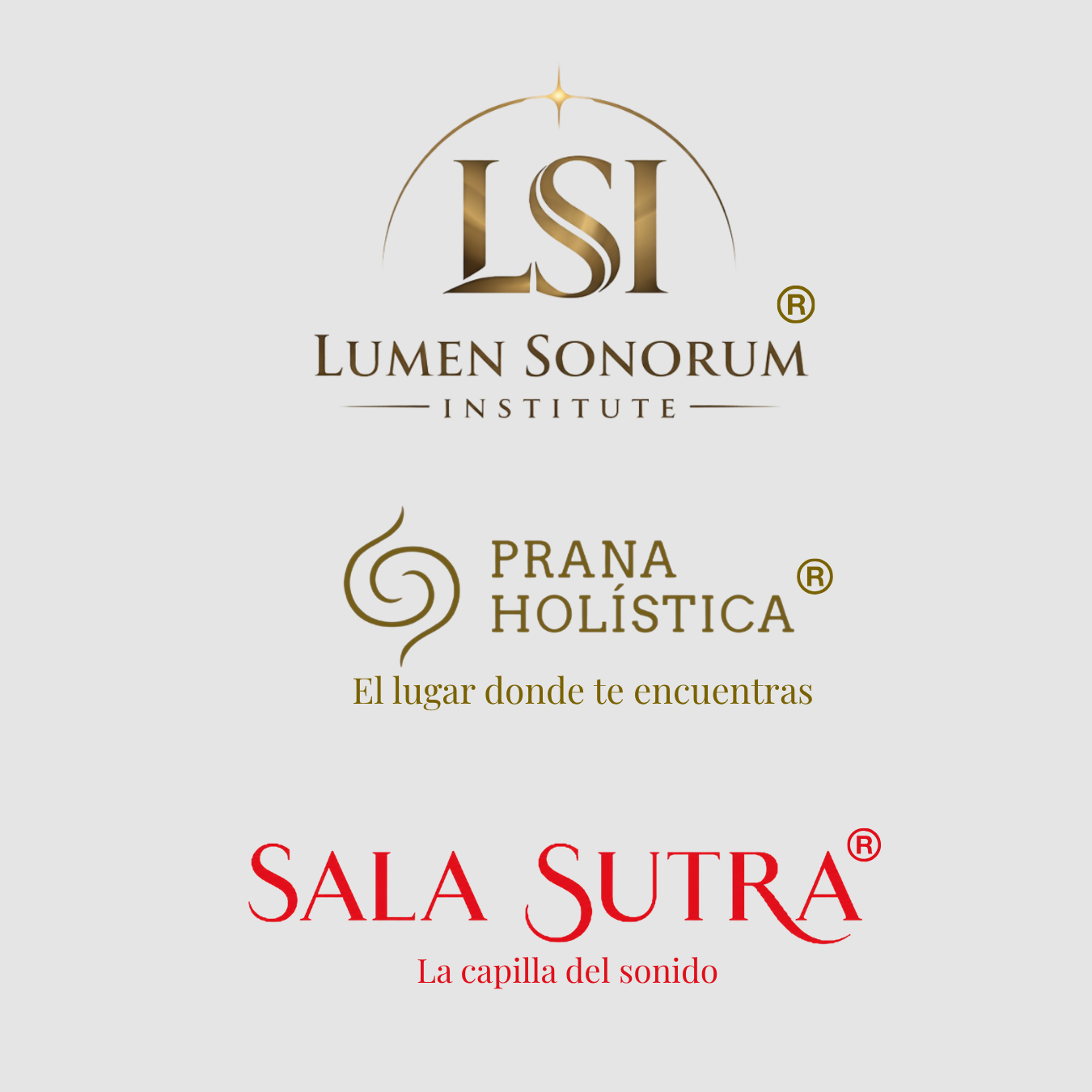 taller de iniciacion a la sonoterapia