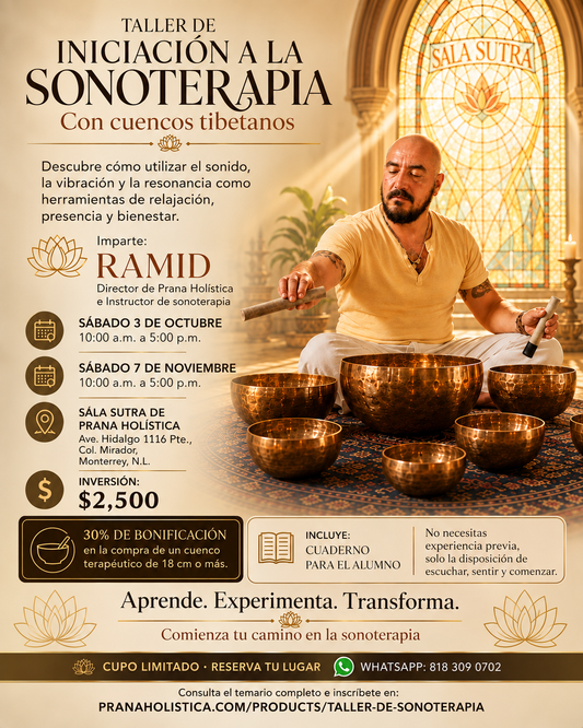 taller de iniciacion a la sonoterapia