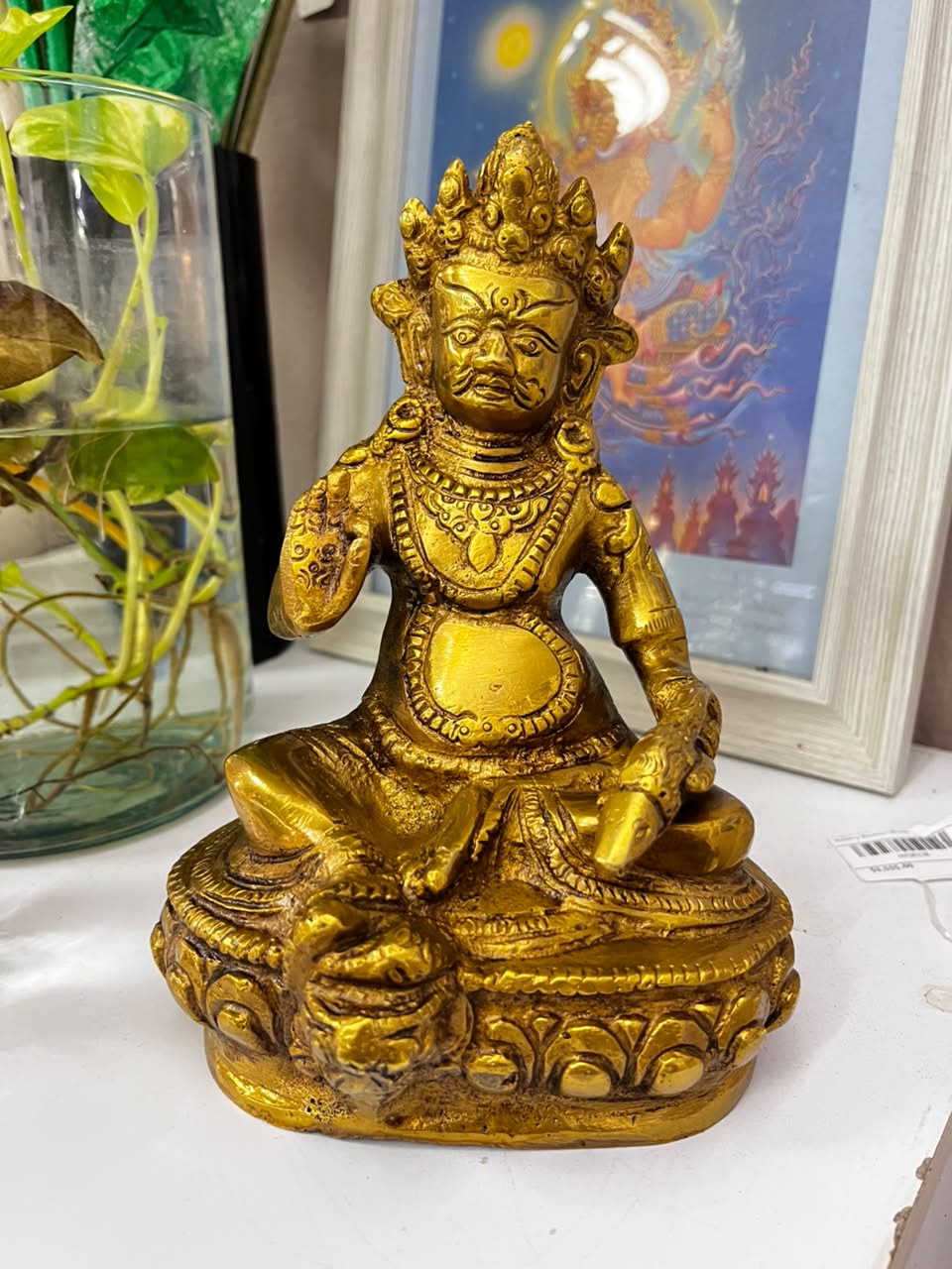 Kubera Bronce | Variedad