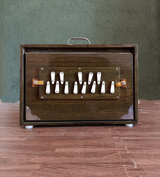 Shruti Box