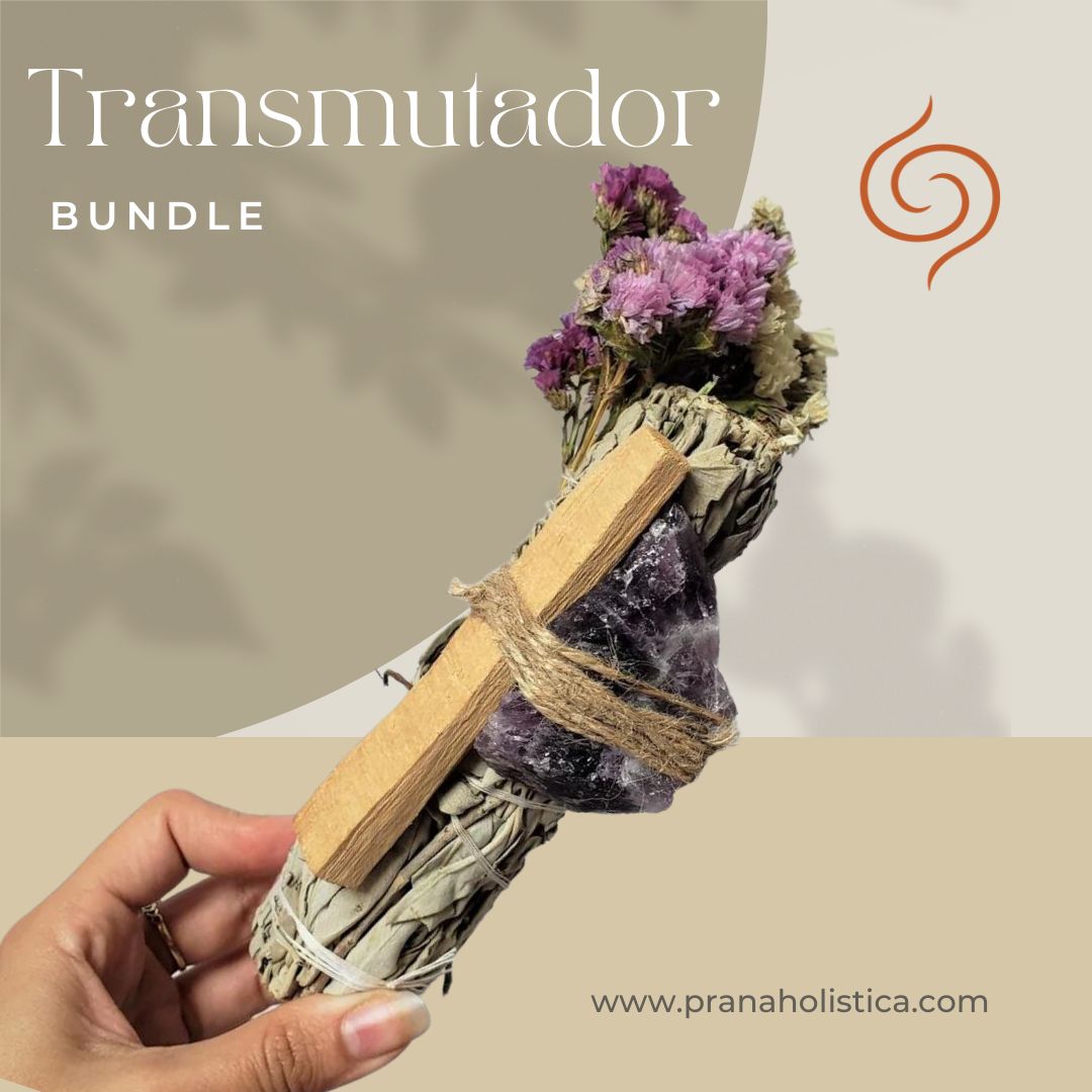 Bundle Transmutador